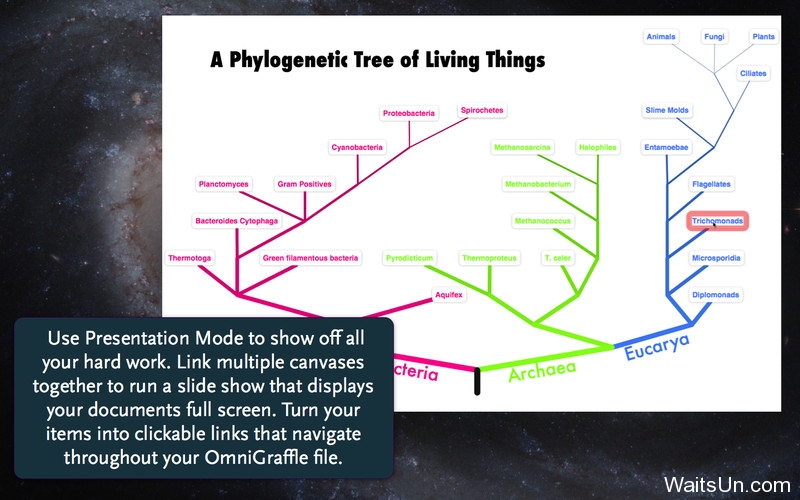 OmniGraffle Pro for Mac 6.3.1 中文破解版 – 苹果上最著名的绘图软件