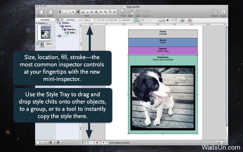 OmniGraffle Pro for Mac 6.3.1 中文破解版 – 苹果上最著名的绘图软件