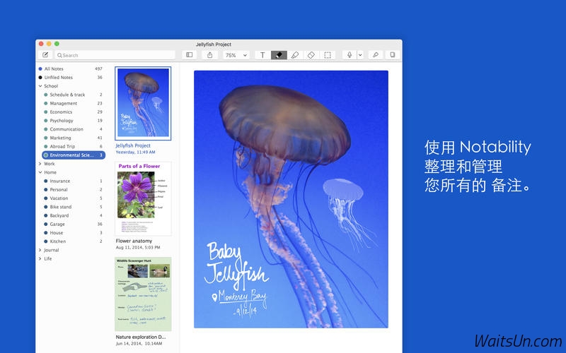 Notability for Mac 2.0.0 - 强大的备注记录软件